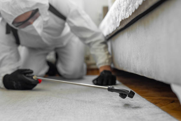 Professional Pest Control technician working in Long Beach, NY