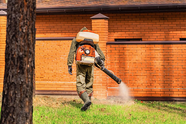 Trusted Cockroach Control service in Long Beach, NY - Nex Pest Control